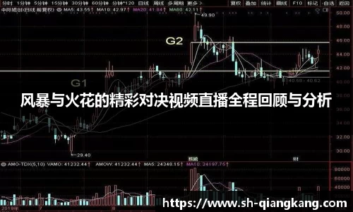 风暴与火花的精彩对决视频直播全程回顾与分析